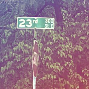 smiley (feat. sickofsliming)