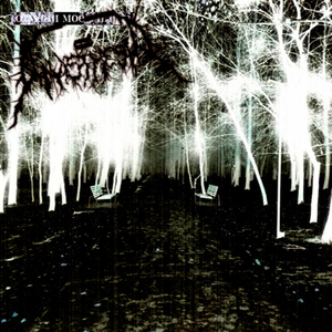 Отмени моё завтра