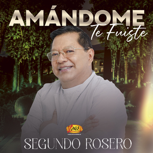 Amándome Te Fuiste