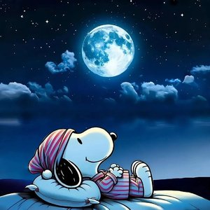 下辈子早点遇见你