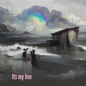 Its My Live (Remix)
