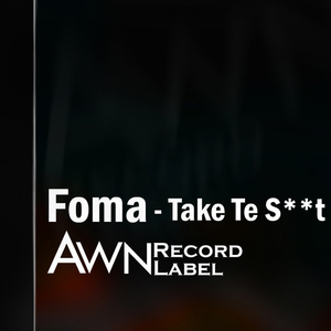 Take Te Shit (Original Mix)