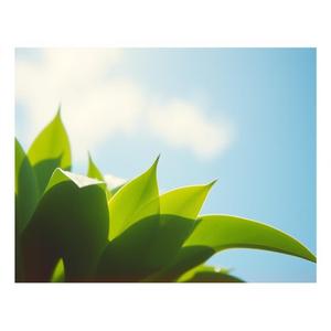 비가 다녀간 아침