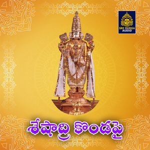 Sesadri kondapai (Sri Srinivasa Sannidi)