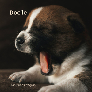 Docile