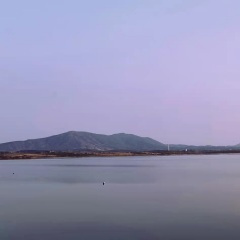 公益