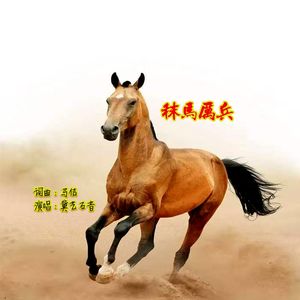 秣马厉兵待天亮