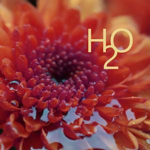 H2O