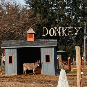 Maurice My Pet Dragon