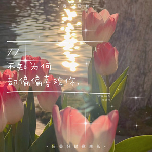 不知为何却偏偏喜欢你