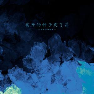 离开的种子发了芽