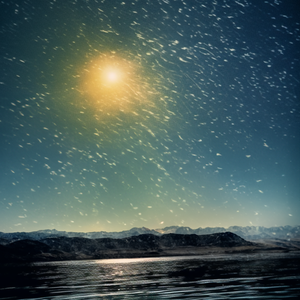 凌晨四点，我看见海棠花未眠