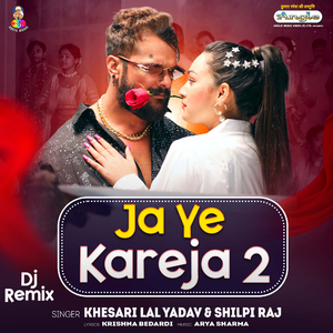 Ja Ye Kareja 2 (DJ Remix)