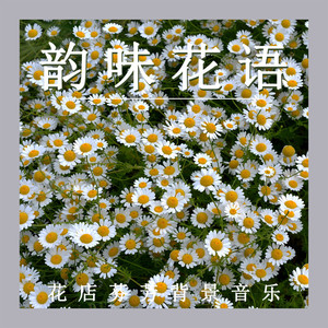 韵味花语 (钢片琴)