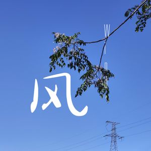 风起时的誓言