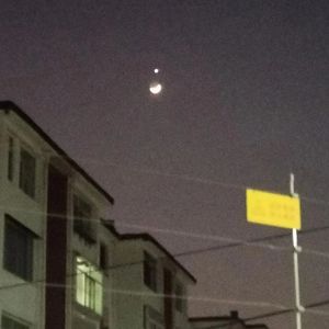 片云天共远，永夜月同孤