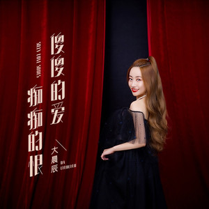 傻傻的爱痴痴的恨 (DJ小刚版)