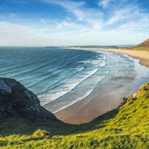 四叶草的幻想（助眠钢琴曲）