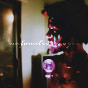 Strange Addiction (feat. lieu) ($WA Remix)