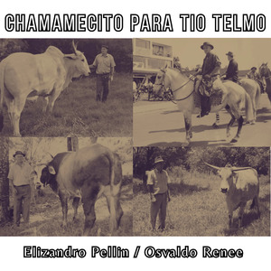 Chamamecito para Tio Telmo