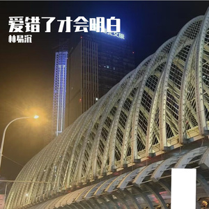 爱错了才会明白