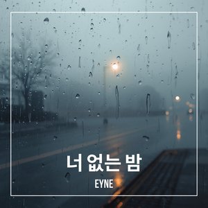 너 없는 밤