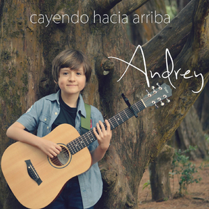 Cayendo Hacia Arriba