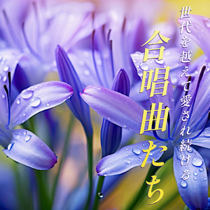 時の旅人 (カバー)