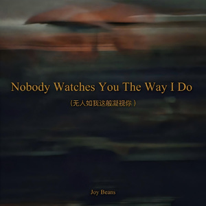Nobody Watches You The Way I Do （无人如我这般凝视你 ）