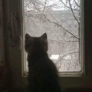 什么齐天大圣（小小的弼马温）