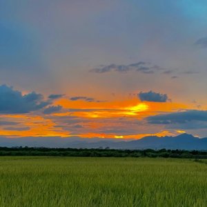 星河晚舟（和声伴奏）