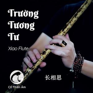 Trường Tương Tư (长相思 - Xiao Flute) (feat. Thái Khang)