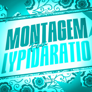 Montagem Fenix Lypidaratio