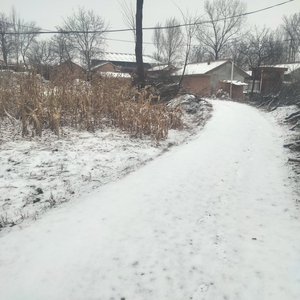 你哪里下雪了吗