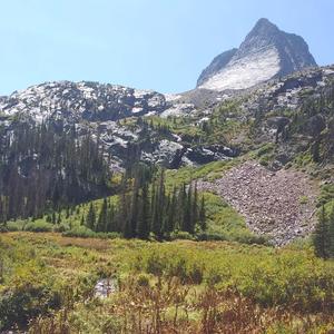 mc sugardik (acoustic)