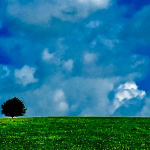 Wat Een Prachtige Dag