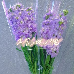 又见她/他-整曲