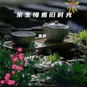 余生慢煮旧时光 伴奏
