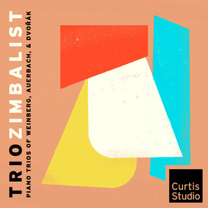 Piano Trio No. 1, Op. 28: II. Andante lamentoso