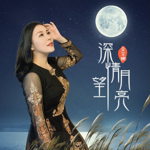 深情望月亮 (女声版)