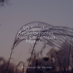 Melodía Olvidada del Crepúsculo