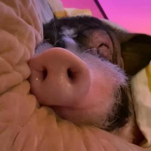 KD MIXSET # 满地找头 60 Minutes .