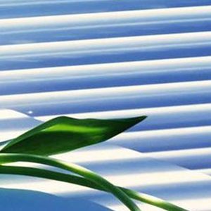 找寻一个梦 伴奏