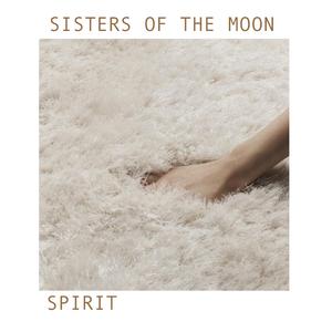 Particle of Endless Void