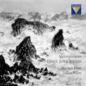 Violin Sonata No. 3 in D Minor, Op. 108:I. Allegro