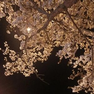 分分钟需要你