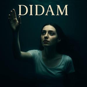 Didam