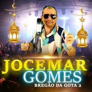 Passarinho Voador