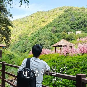 生活的色彩 伴奏