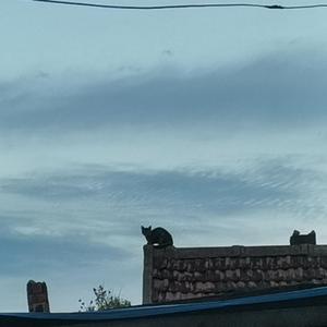 飞雪玉花 卡林巴纯音乐